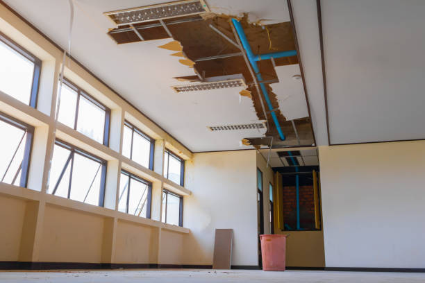 Best Mold removal after water damage  in Bartonville, TX