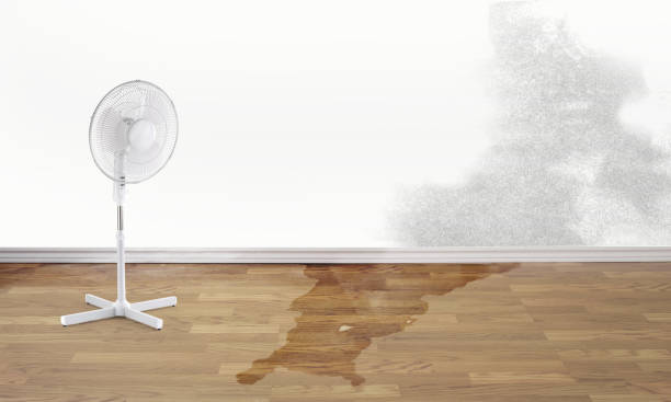 Best Local water damage restoration  in Bartonville, TX