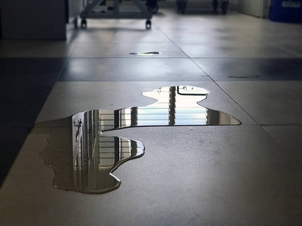 Best Carpet water damage restoration  in Bartonville, TX