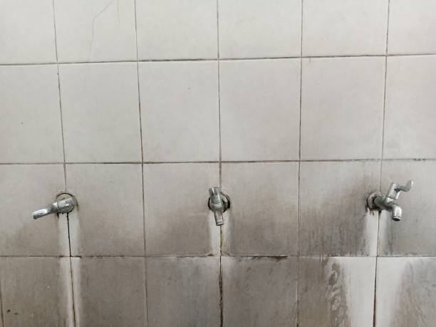 Best Water damage cleanup near me  in Bartonville, TX